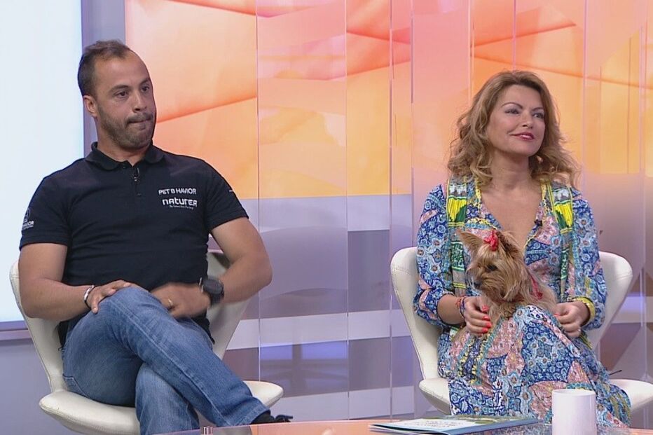 pedro paiva, isabel angelino