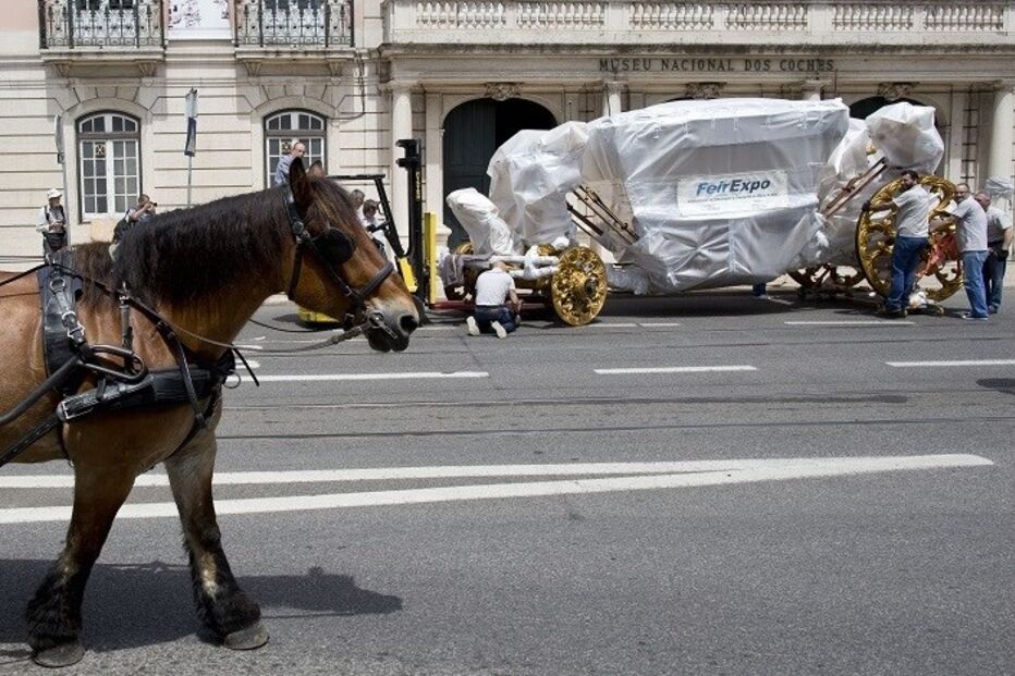 22-05-2015_16_57_31 10054485.JPG