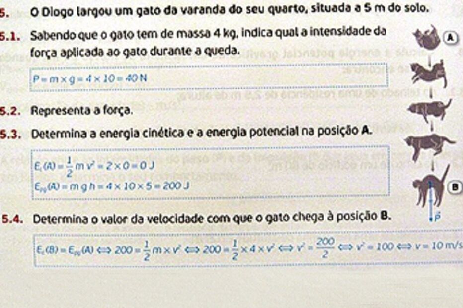 livro escolar, educação