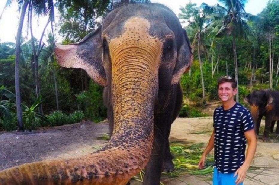selfie, elefante