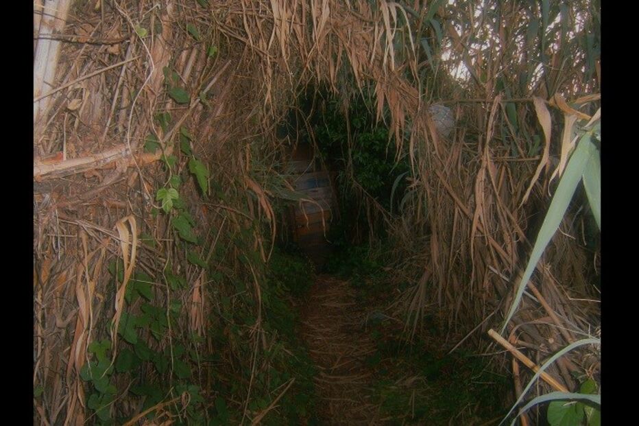 geração arte, fotografia, Miguel Bexiga, Batimentos de uma cidade abandonada
