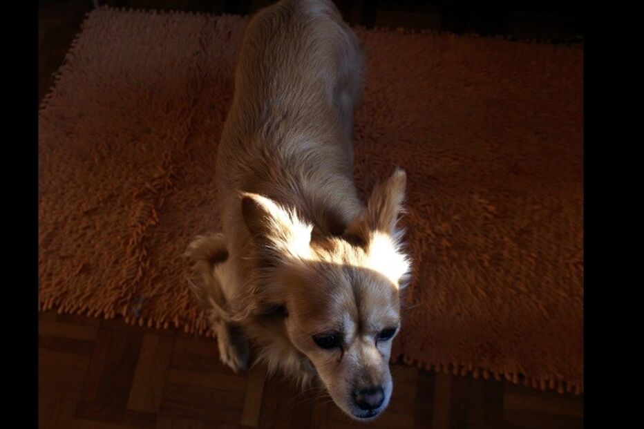 26-05-2015_13_51_11 rita pacheco 4.jpg