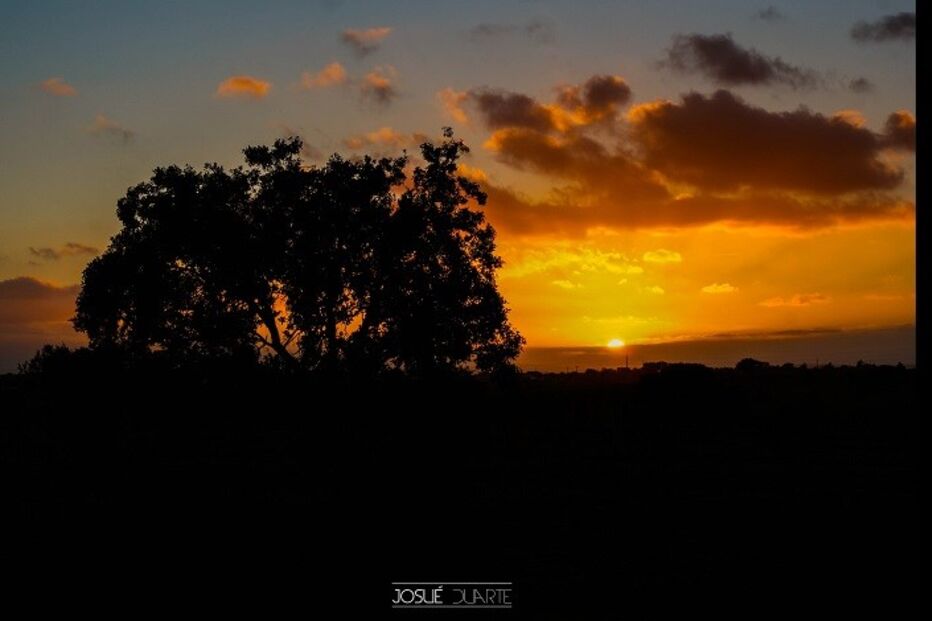 geração arte, josué duarte