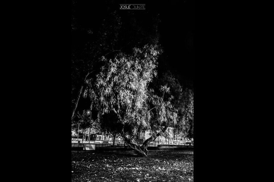 geração arte, josué duarte