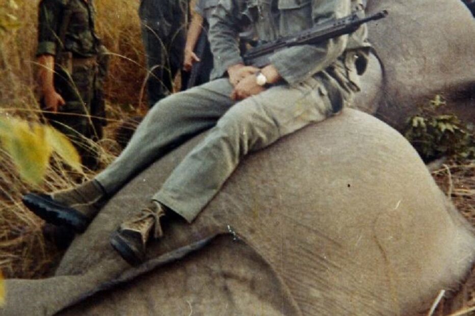 caça furtiva, elefantes