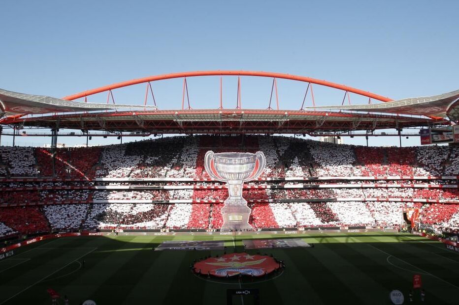 Adeptos, Benfica, Marítimo