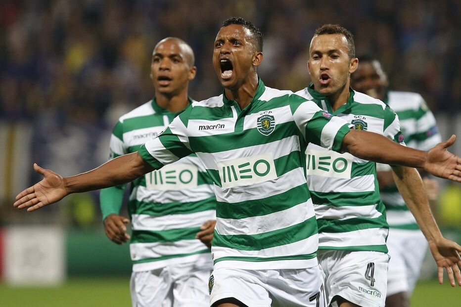 29-05-2015_02_52_39 6 nani.jpg