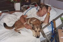 Ben Moon, Denali, filme, tributo