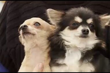 HORA ESTIMAÇÃO EP10  PARTE2