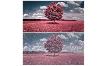 google, imagens, software, surreal