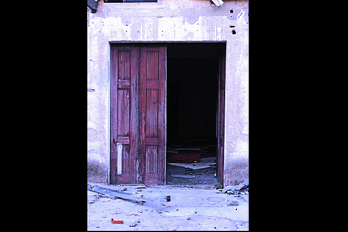 geração arte, fotografia, Beatriz Frazão, CMTV, Falar Global