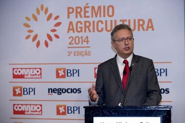Nuno Vieira e Brit