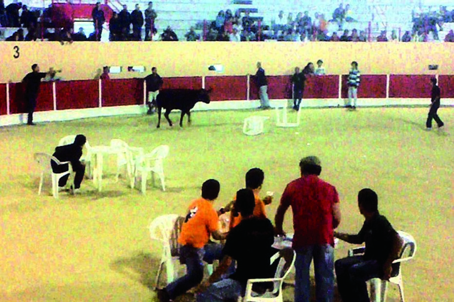 ‘Mesa da Tortura’ faz 6 feridos em largadas 