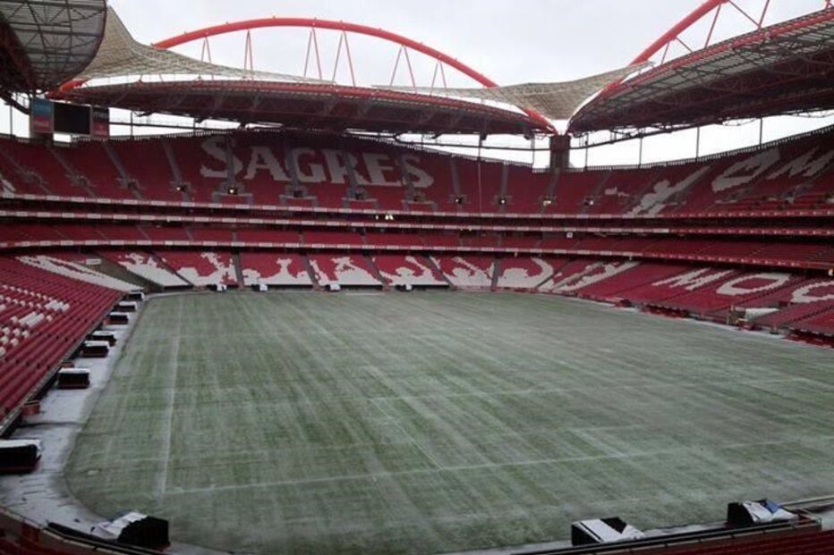 estádio da luz