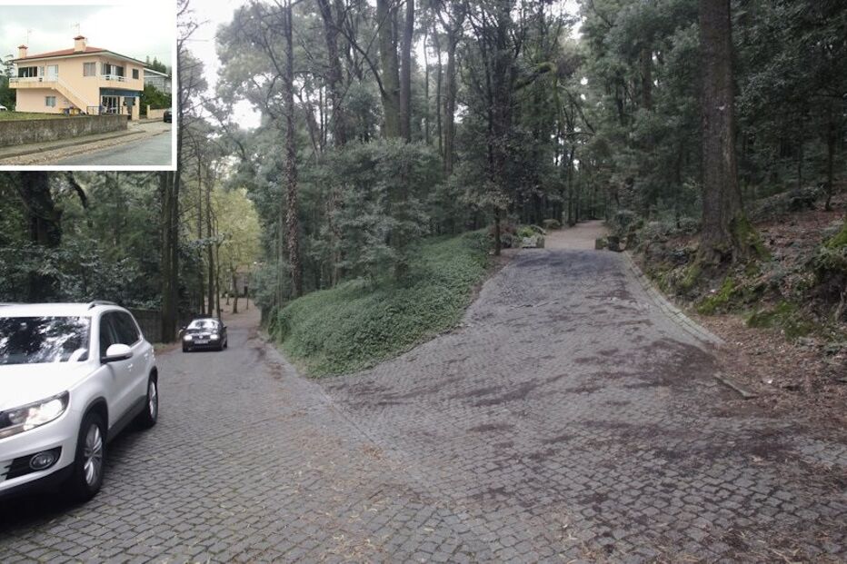 Vítima, associação, sem-abrigo