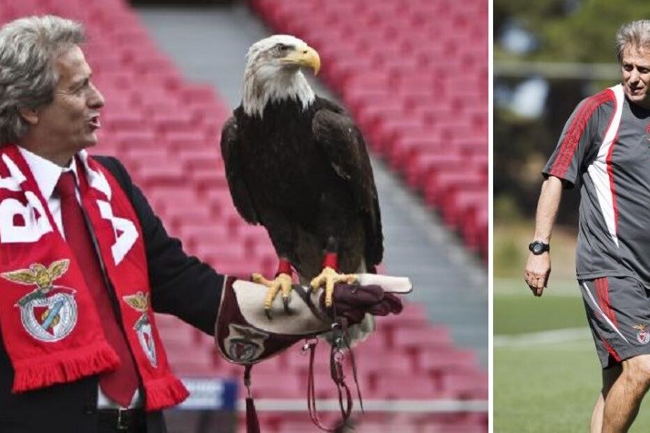 04-06-2015_15_35_12 benfica.jpg