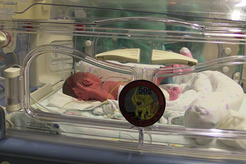 gémeas, força aérea, avião, aeronave, flores, terceira, açores, tripulação, parto