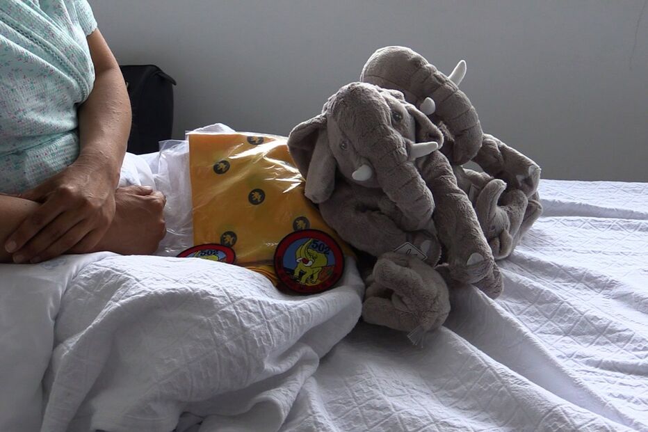 gémeas, força aérea, avião, aeronave, flores, terceira, açores, tripulação, parto