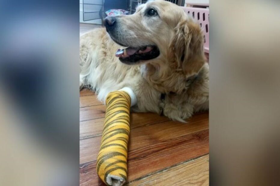 10-06-2015_16_44_41 figo.jpg