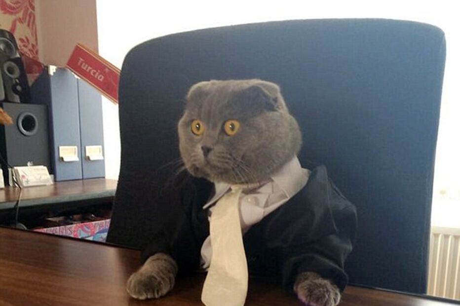 10-06-2015_19_04_44 3 - mundo louco -.jpg