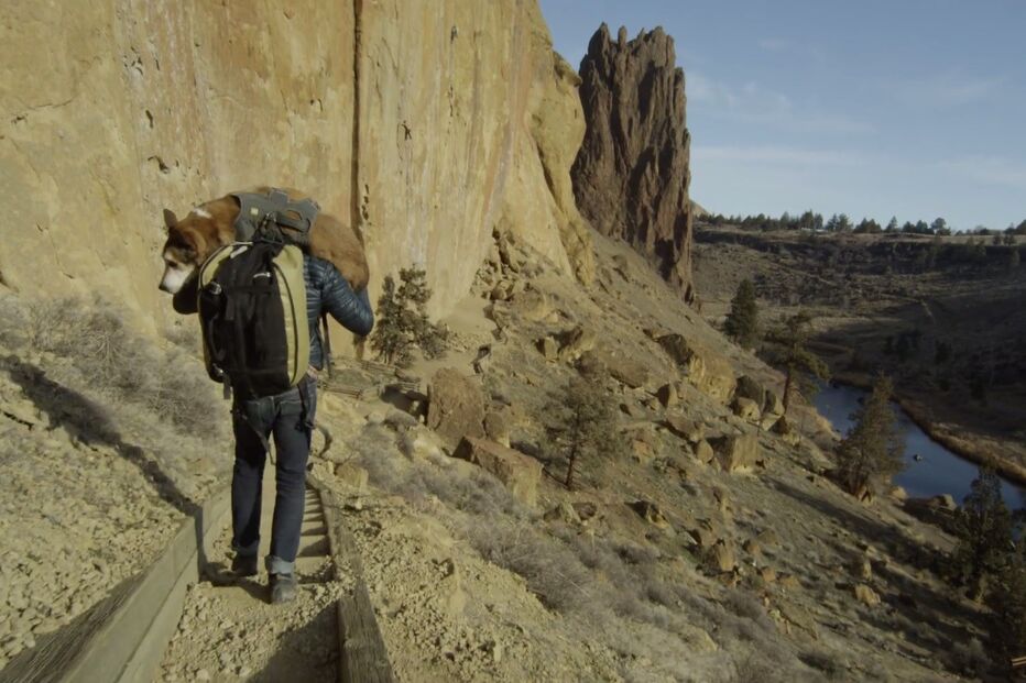 Ben Moon, Denali, filme, tributo