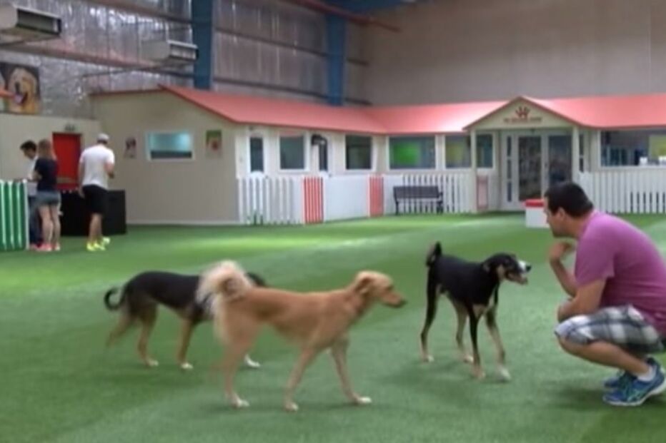 12-06-2015_19_32_45 1 - mundo louco -.jpg