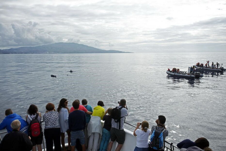 Atlânticoline, Açores