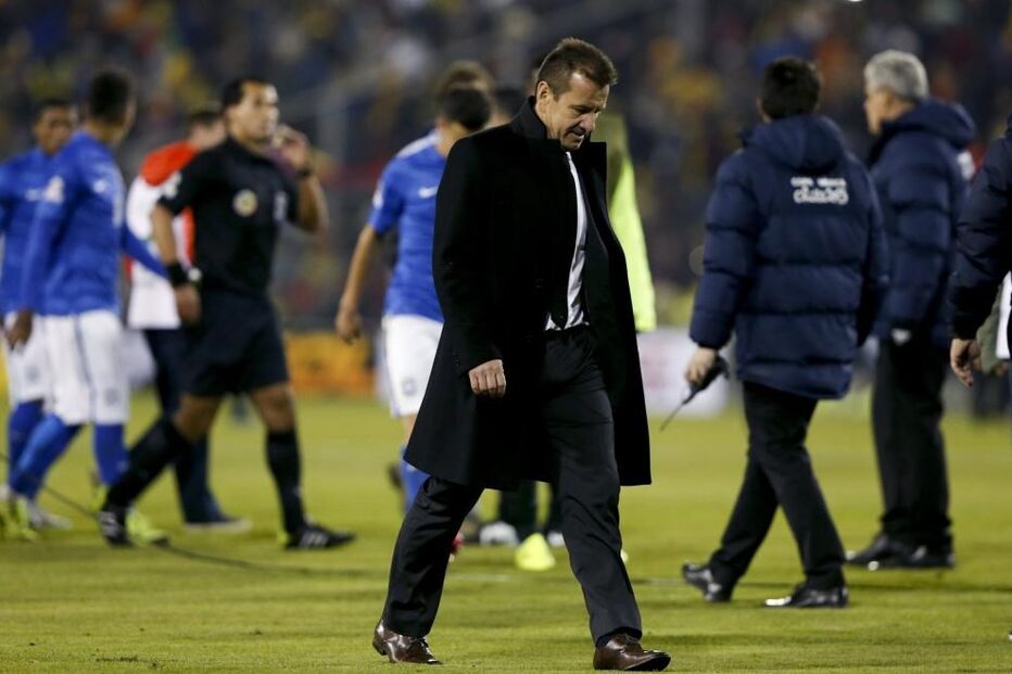 Dunga, Brasil