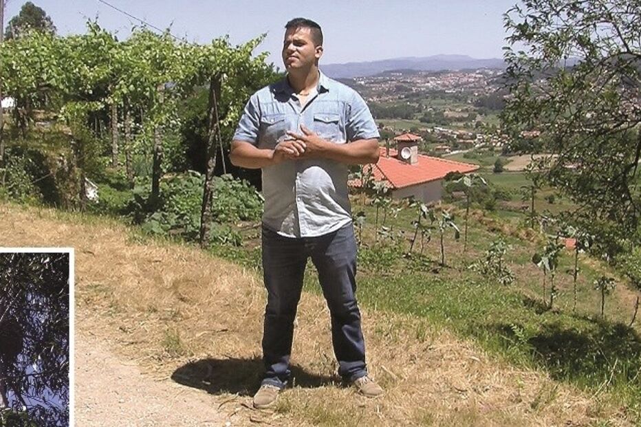 19-06-2015_00_46_54 Imagem braga12a.jpg