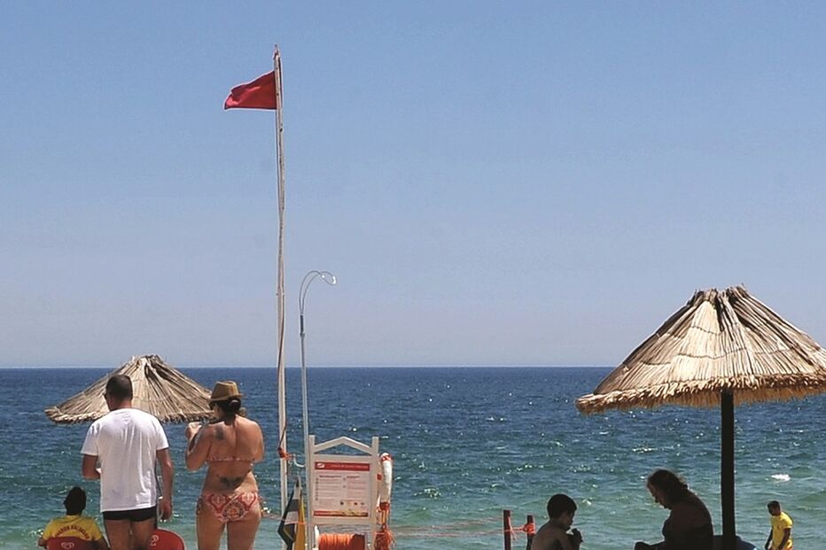 19-06-2015_23_17_39 19 figueirinha.jpg