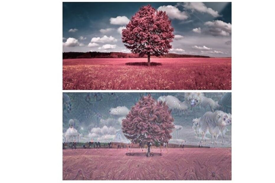 google, imagens, software, surreal