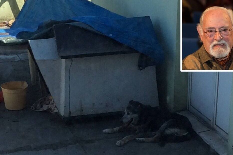 22-06-2015_11_35_37 caoruy.jpg