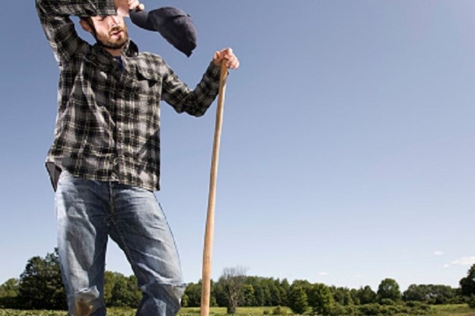 calor, trabalhar, verão
