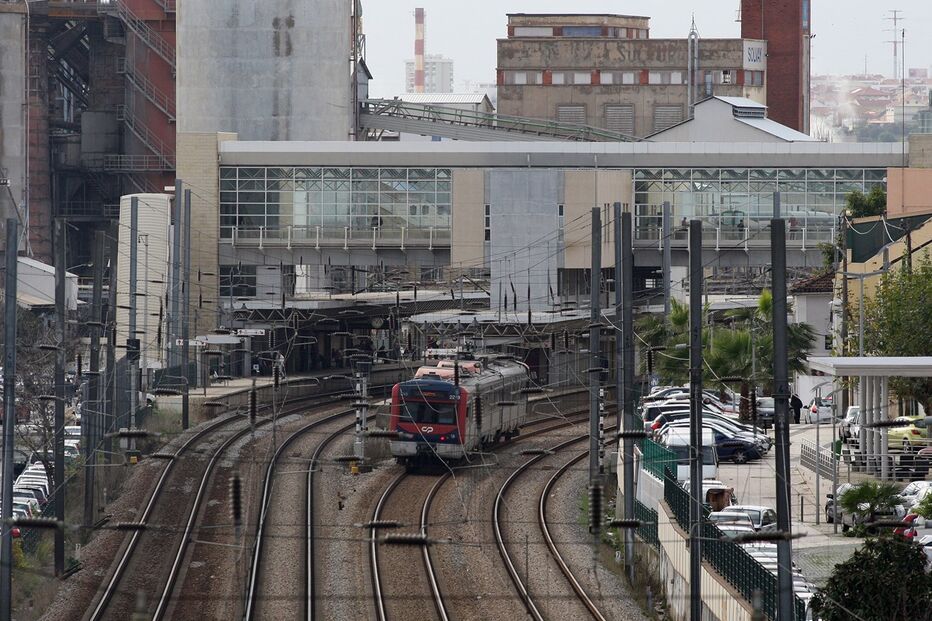 23-06-2015_22_53_11 6-7 predador.jpg