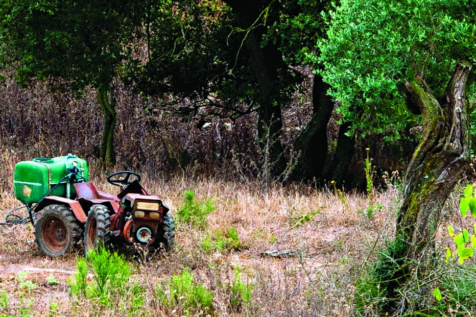 Agricultor morre debaixo de trator 