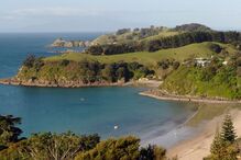 Little Palm, ilha waiheke, Nova Zelândia