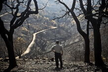 Incêndio, Portugal, ICNF