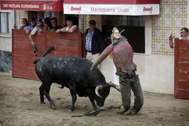 ambiente taurino, casa cheia, colete encarnado, festa, tradição