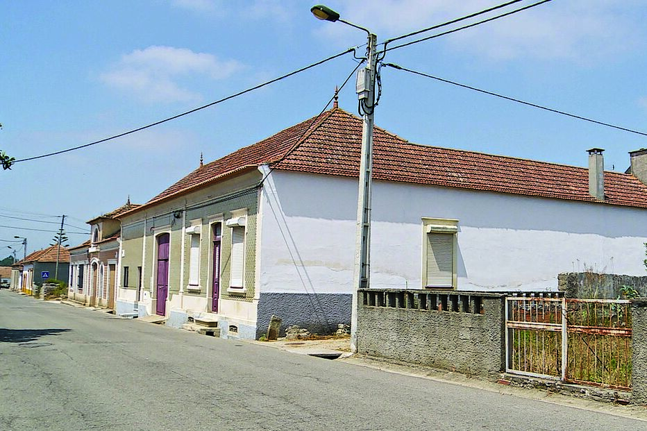 Cão enforcado provoca revolta 