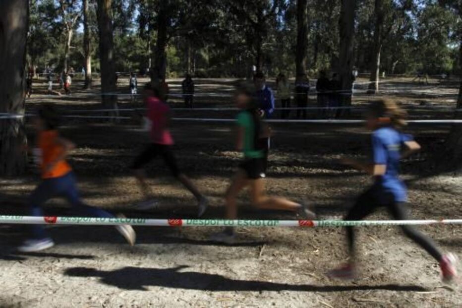 03-07-2015_11_20_21 2643809.JPG