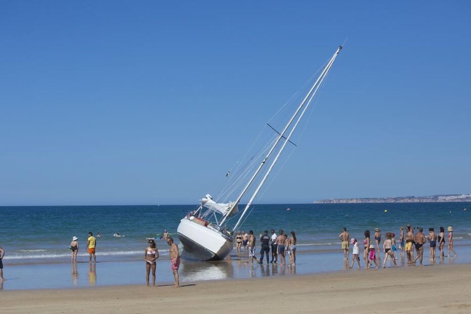 04-07-2015_02_21_26 10316966.JPG