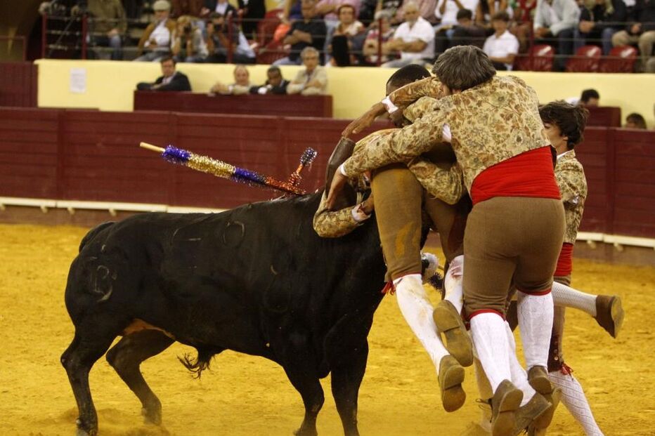 forcados, ribatejo, emoção, promessa, tourada, touros