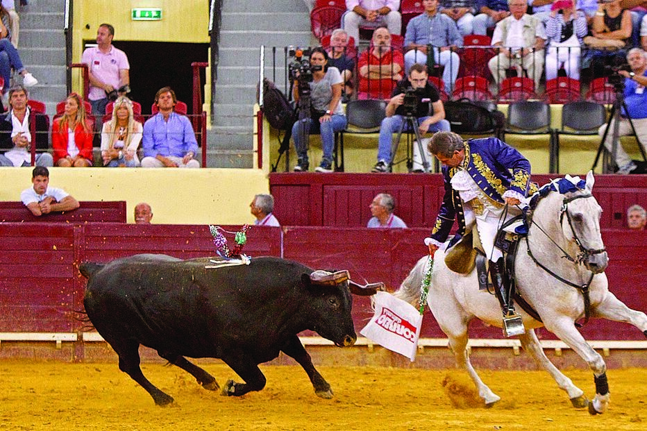 10-07-2015_04_43_56 Imagem _VMO9312.jpg