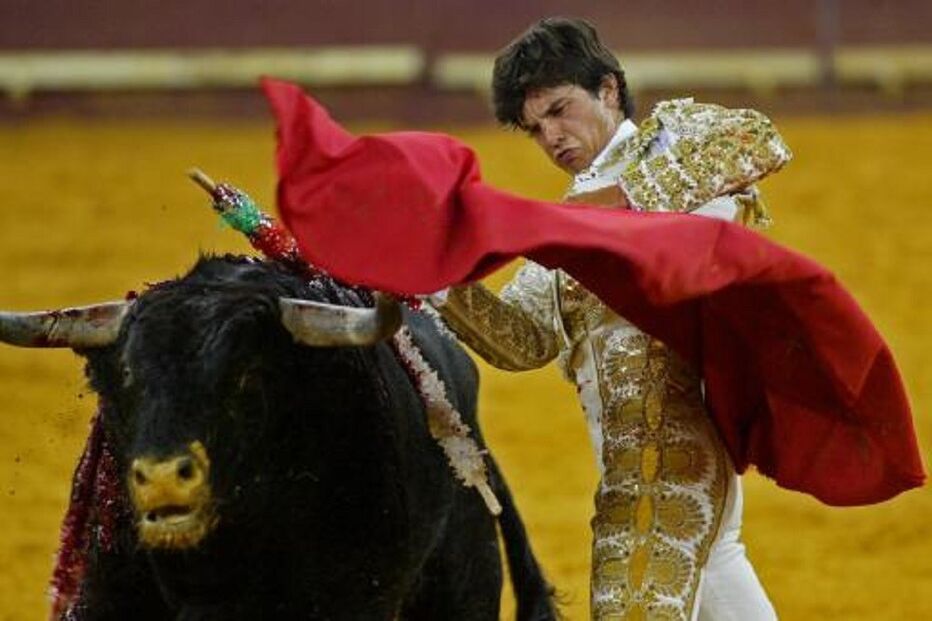 Juan Del Álamo, matador, touros