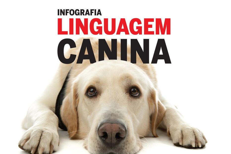 10-07-2015_19_19_41 infobolacha.jpg