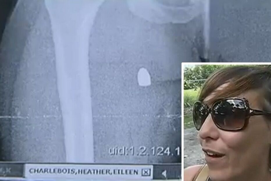 11-07-2015_12_23_22 bala.jpg