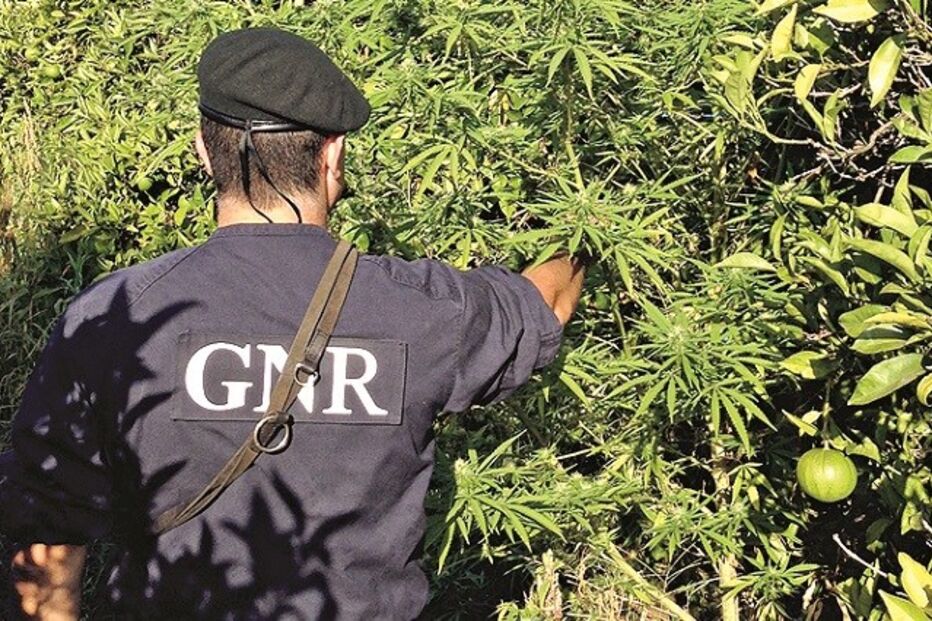 13-07-2015_22_44_34 Imagem Alg12a.jpg