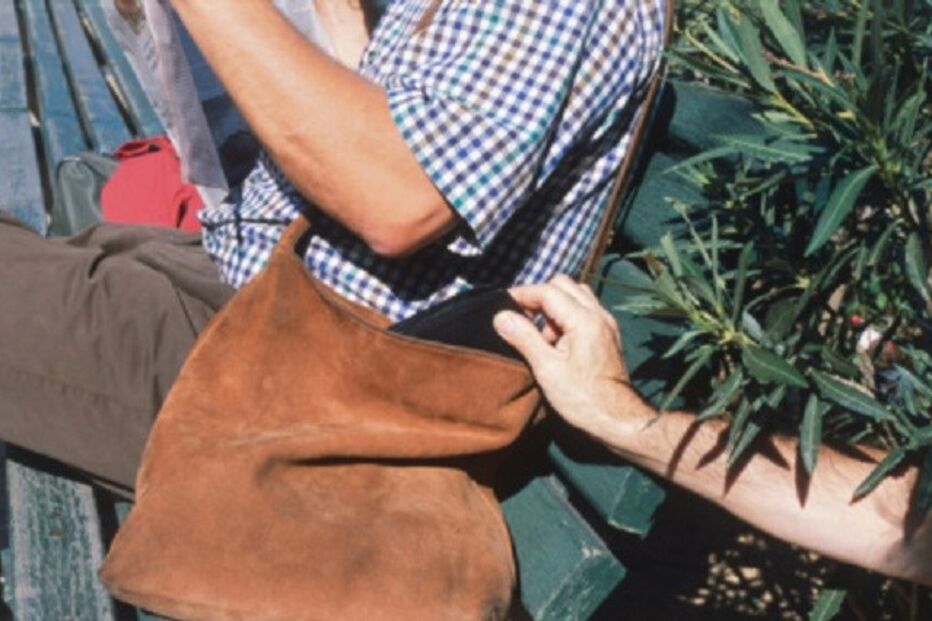 14-07-2015_01_16_41 14 carteirista.jpg