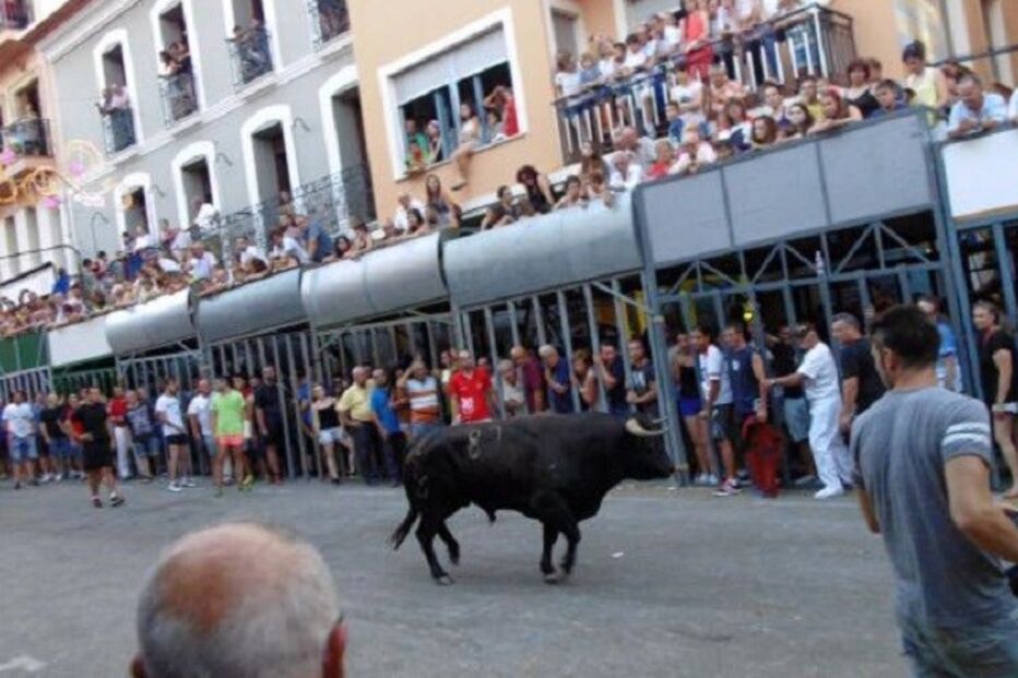 Pedreguer, Espanha, festival, touros