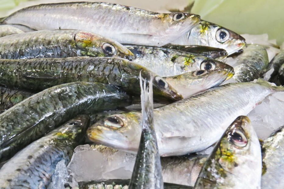 sardinha, mercado, peixe,